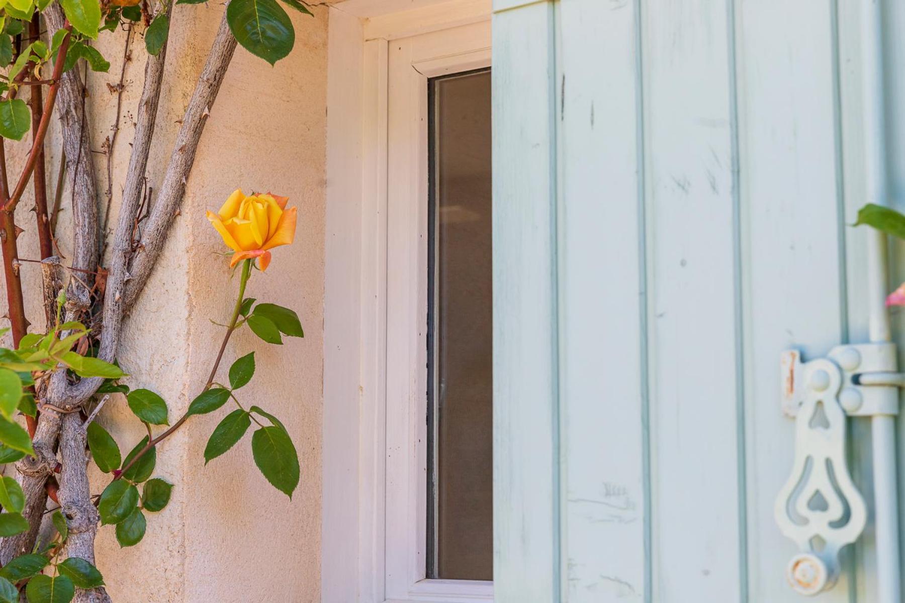 La Ferme Du Petit Segries Bed And Breakfast Мустье-Сент-Мари Экстерьер фото
