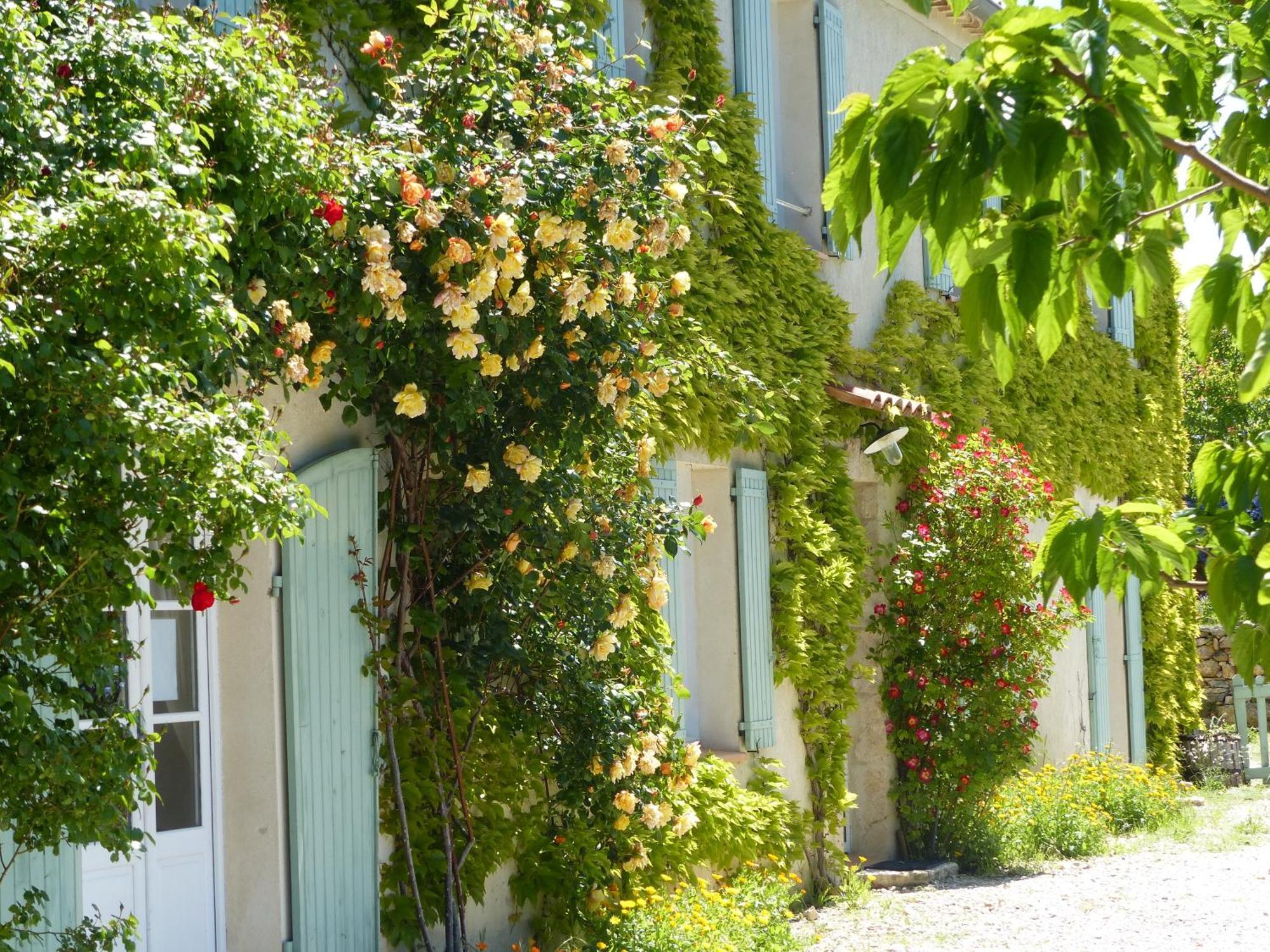 La Ferme Du Petit Segries Bed And Breakfast Мустье-Сент-Мари Номер фото