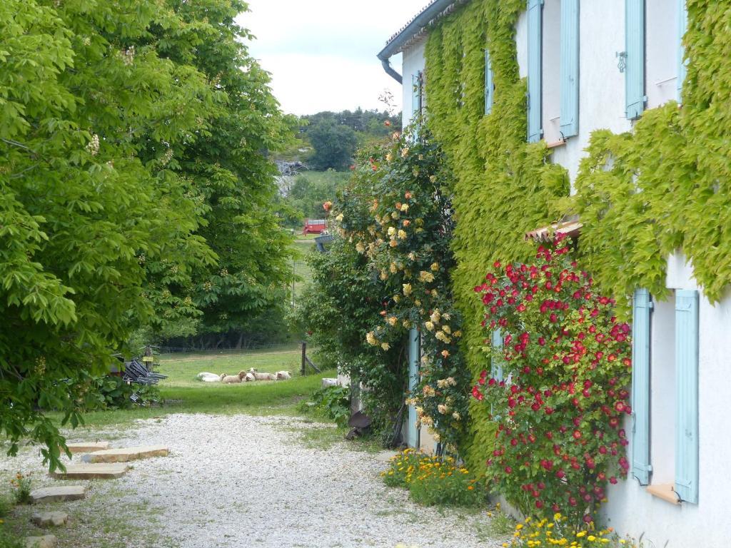 La Ferme Du Petit Segries Bed And Breakfast Мустье-Сент-Мари Экстерьер фото